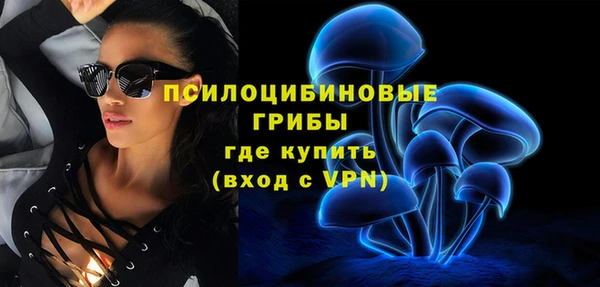 дживик Абинск