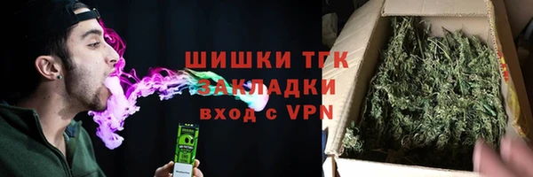 стаф Покачи
